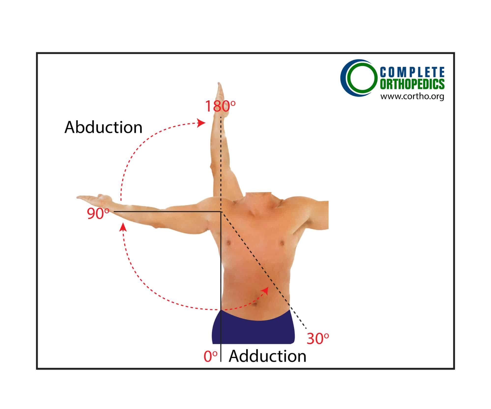 Figure : Abduction et adduction de l'épaule