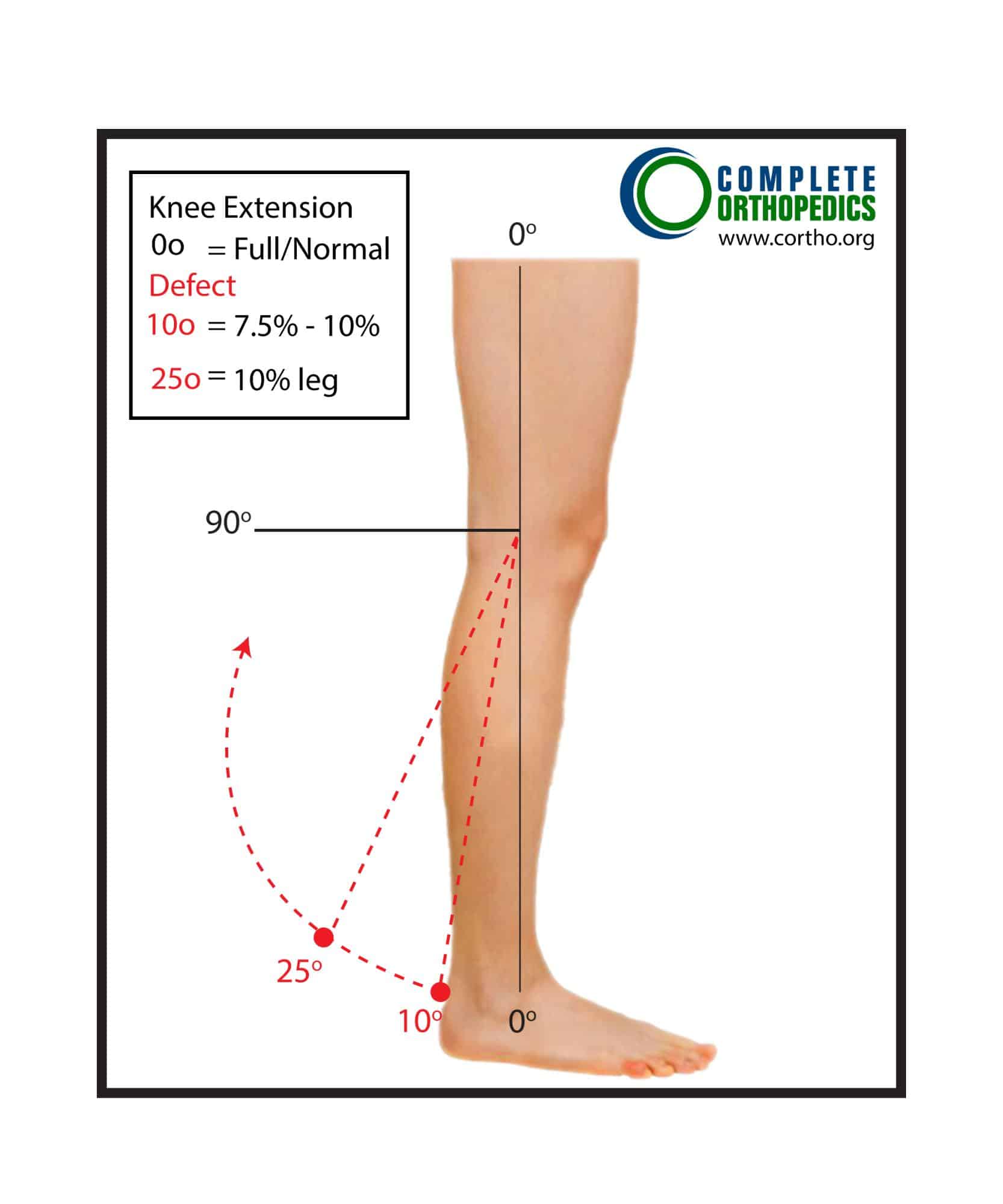 Figure : Extension du genou