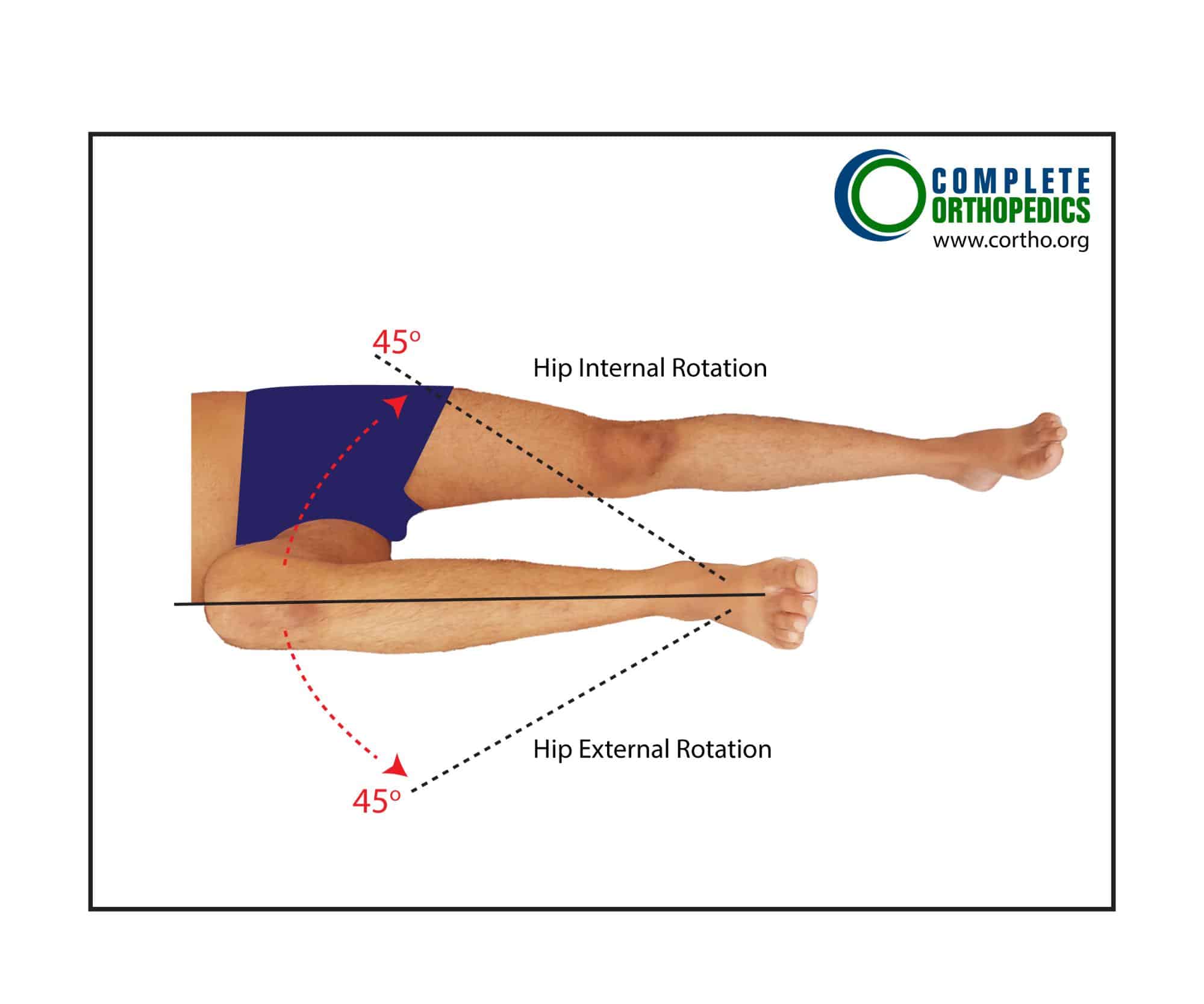 Figure : Rotation interne et externe de la hanche