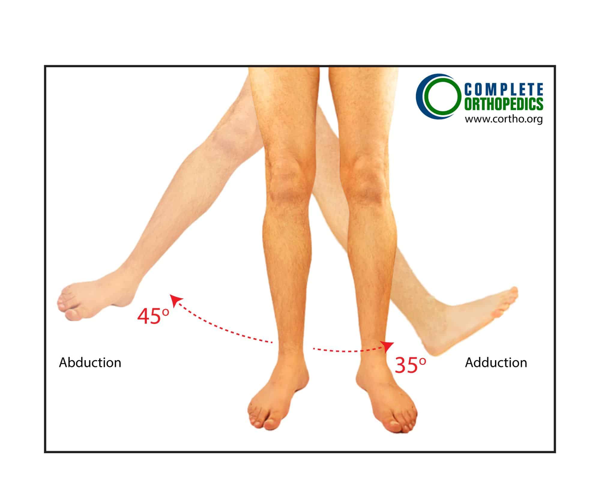 Figure : Abduction et adduction de la hanche