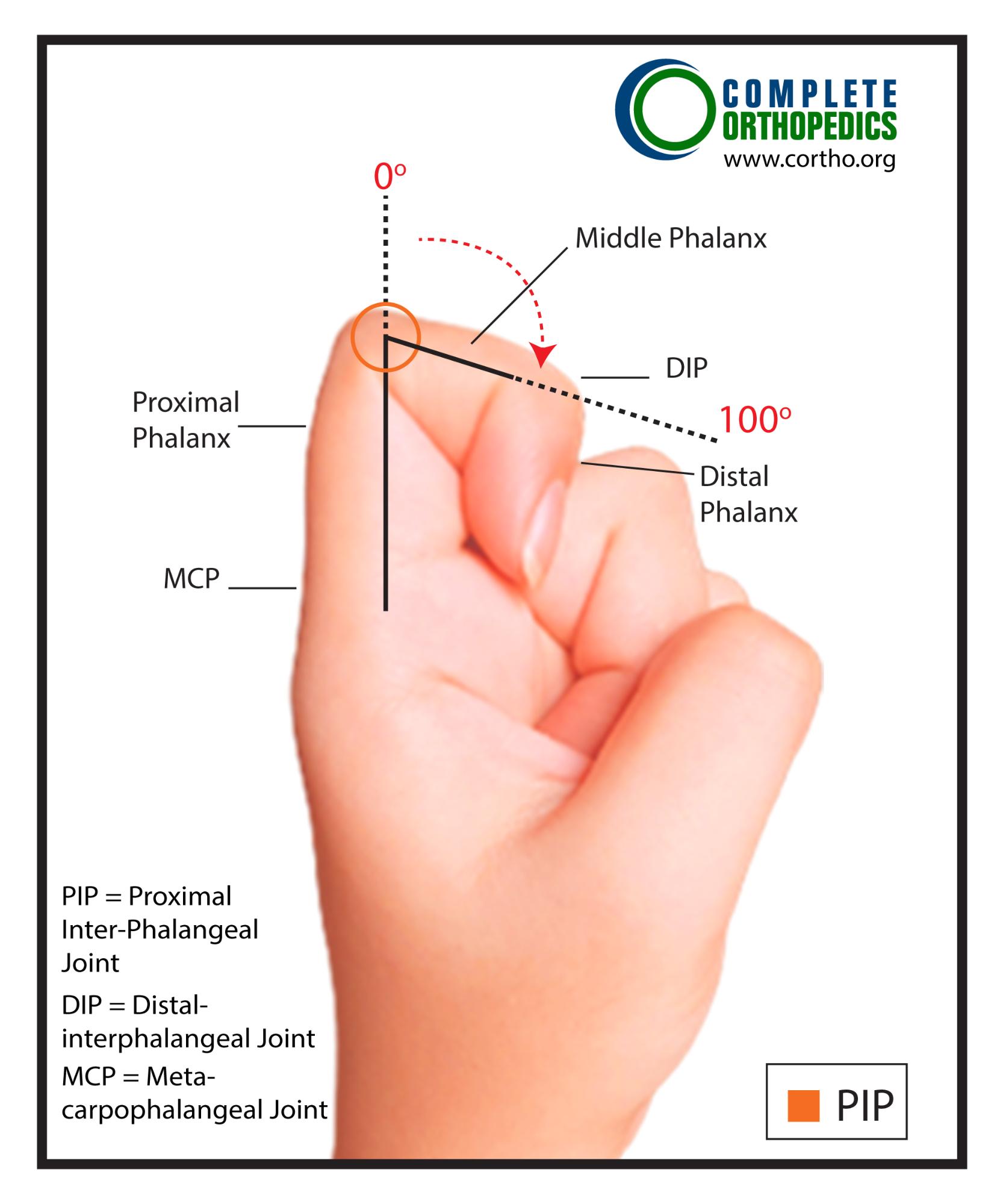 Pinky To Thumb Measurement Pinky To Thumb Measurement
