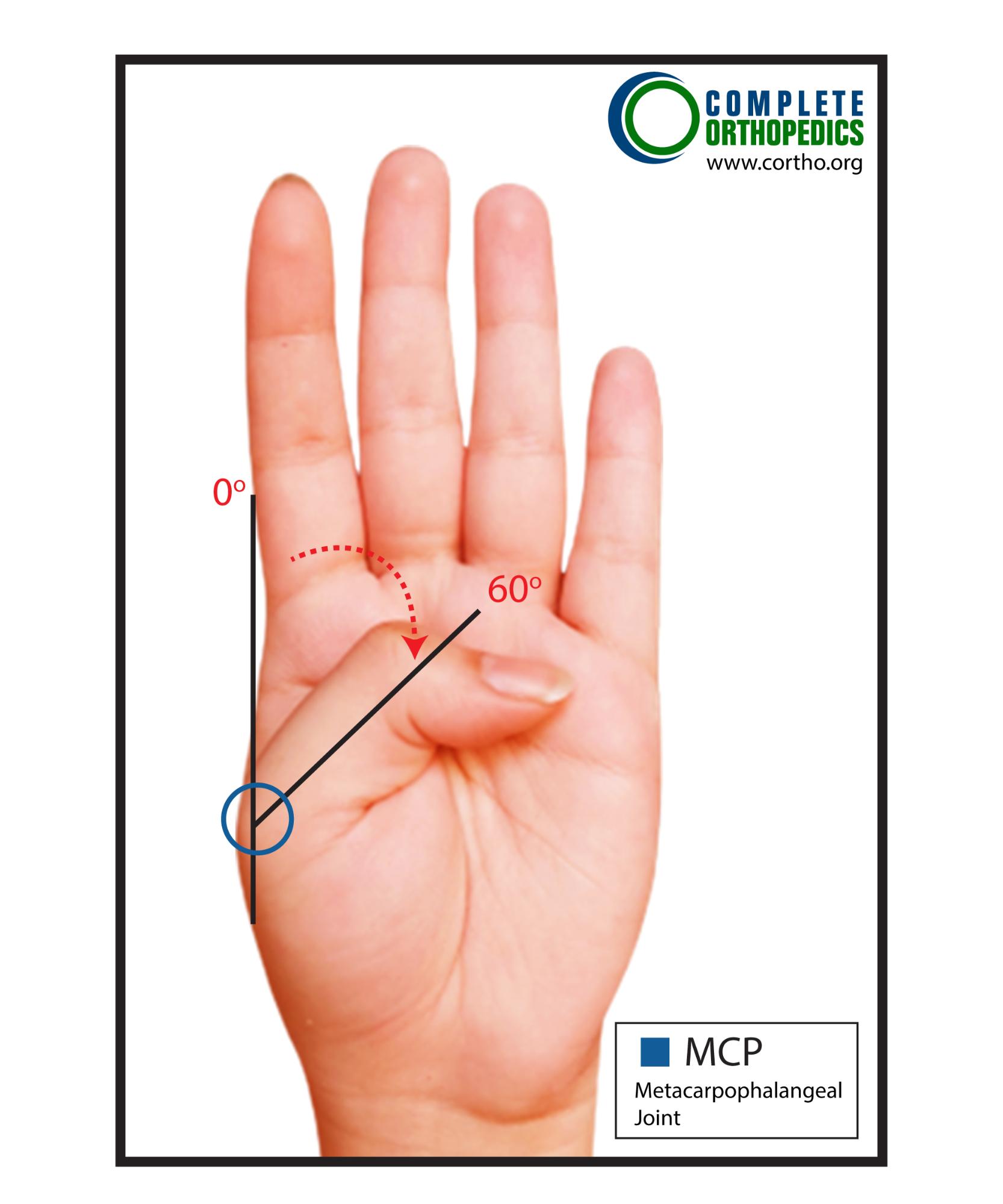 Measurement Position for CMC Joint: Flexion/Adduction/Opposition